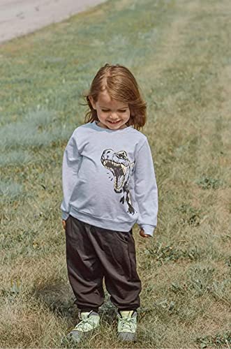 Image of Toddler Boy Sweatshirt Outfits Long Sleeve Dinosaur Top Pants Sweatsuit 2PCS Fall Winter Outfits Set