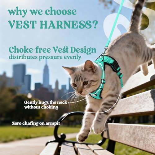 Image of rabbitgoo Cat Harness and Leash Set, Escape Proof Vest, Emerald | Soft Breathable Mesh, Easy Adjustable Fit, Snap Buckles, Sturdy Clip, Reflective Strips, for Small & Average Cats Walks, Xs