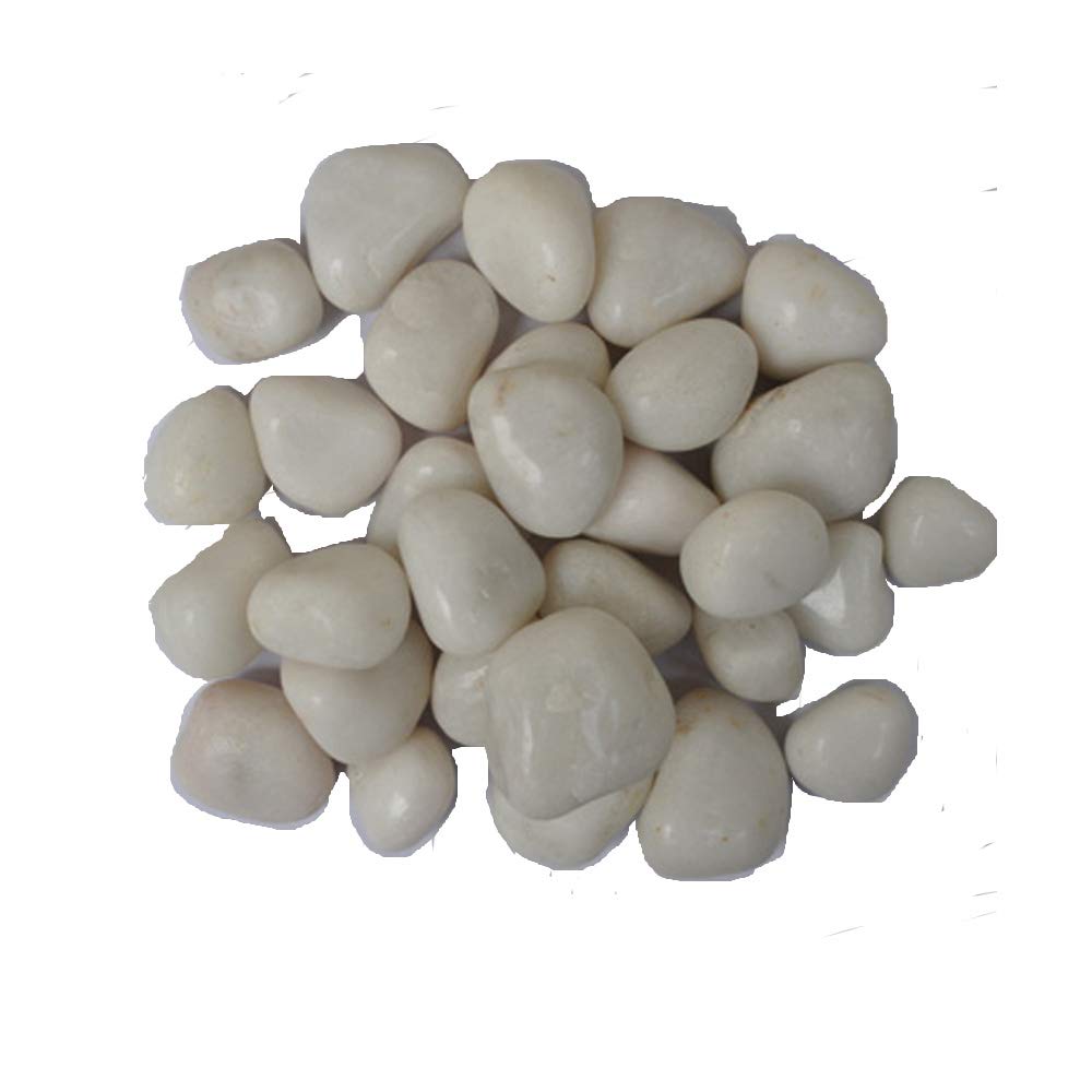 Blue Fern India Nursery Garden White Polished Pebbles (Approx 1 inch Size) - 1 kg-image-46