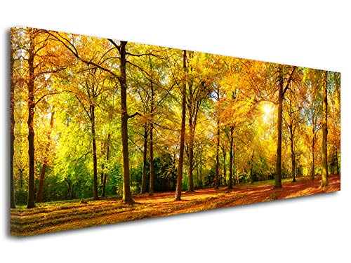 DECLINA Tableau Panoramique imprimé Foret en Automne - Impression Photo Paysage sur toile décoration murale - Déco maison, cuisine, salon, chambre adulte - 120x50 cm