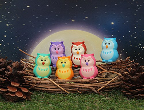 Iwako 6 Colour Lucky Owl Japanese Puzzle Erasers