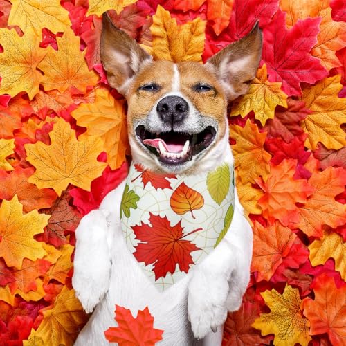 Image of Abbylike 50 Pcs Fall Dog Bandanas Bulk, Autumn Maple Leaves Pattern