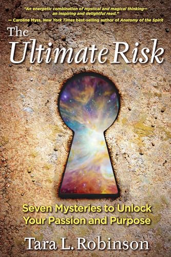 The Ultimate Risk view 2