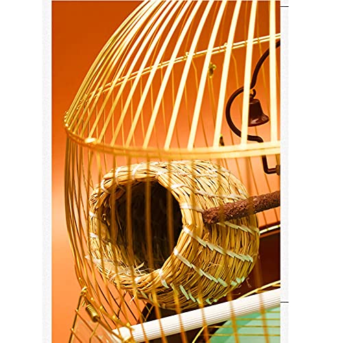 Gabbia per uccelli, pappagallo, gabbia per uccelli in metallo, grande, in acciaio inossidabile, galvanizzata, storno, myna, xuanfeng, peonia, gabbia per pappagalli in ferro, gabbie per uccelli, decor