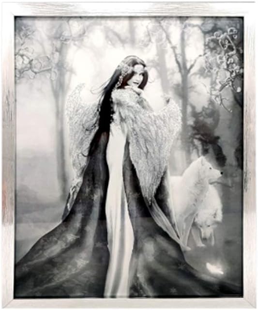 Glitter Angel & Angel Wings Canvas Wall Art Hanging Pictures Home Decoration Assorted Plaques (Angel & Wolves)