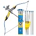 Sport Series Archery Shooting Set, Bow & Arrow Toy, Basic Archery Set Outdoor Hunting Game, Bow and Arrow for Kids Boys Girls, Include Shoulder-strapped Quiver and 12 Suction Cup Arrows
