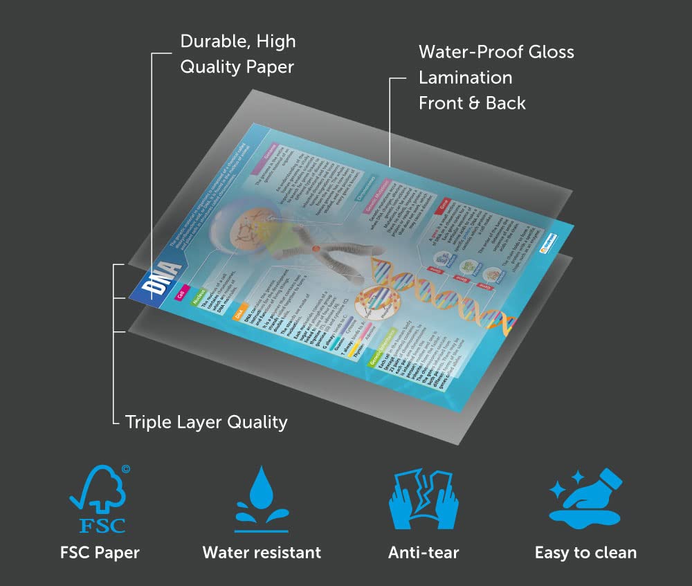 Poster Timeline Storia 0-2000 AD Daydream Education - A1 (850x594 Mm), Carta Lucida - Foto 8