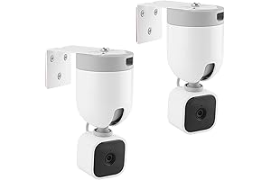 Blink Pan Tilt Wall Mount