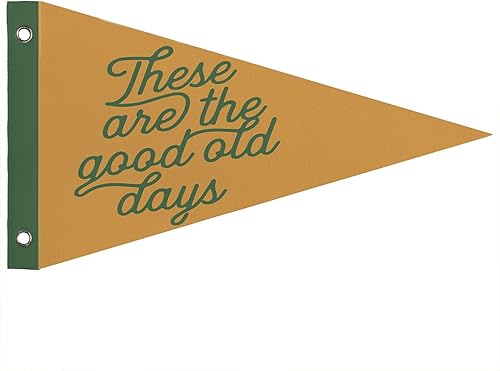 Miniatura 17 de Decoración de Guardería Occidental para Niños Vaqueros, Banderines de Pennant de Felpa Giddy Up, Arte de Pared Occidental Retro para Habitación de