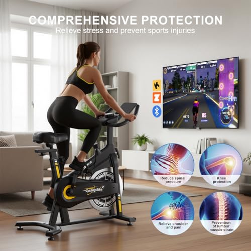 Image of Exercise Bikes for Home,Spin Bike with Adjustable Magnetic,Brake Pad Resistance Silent Belt Drive,350lbs /300lbs Weight Capacity &Upgraded Version Seat for Home Cardio&Weight Loss(QM-530W)