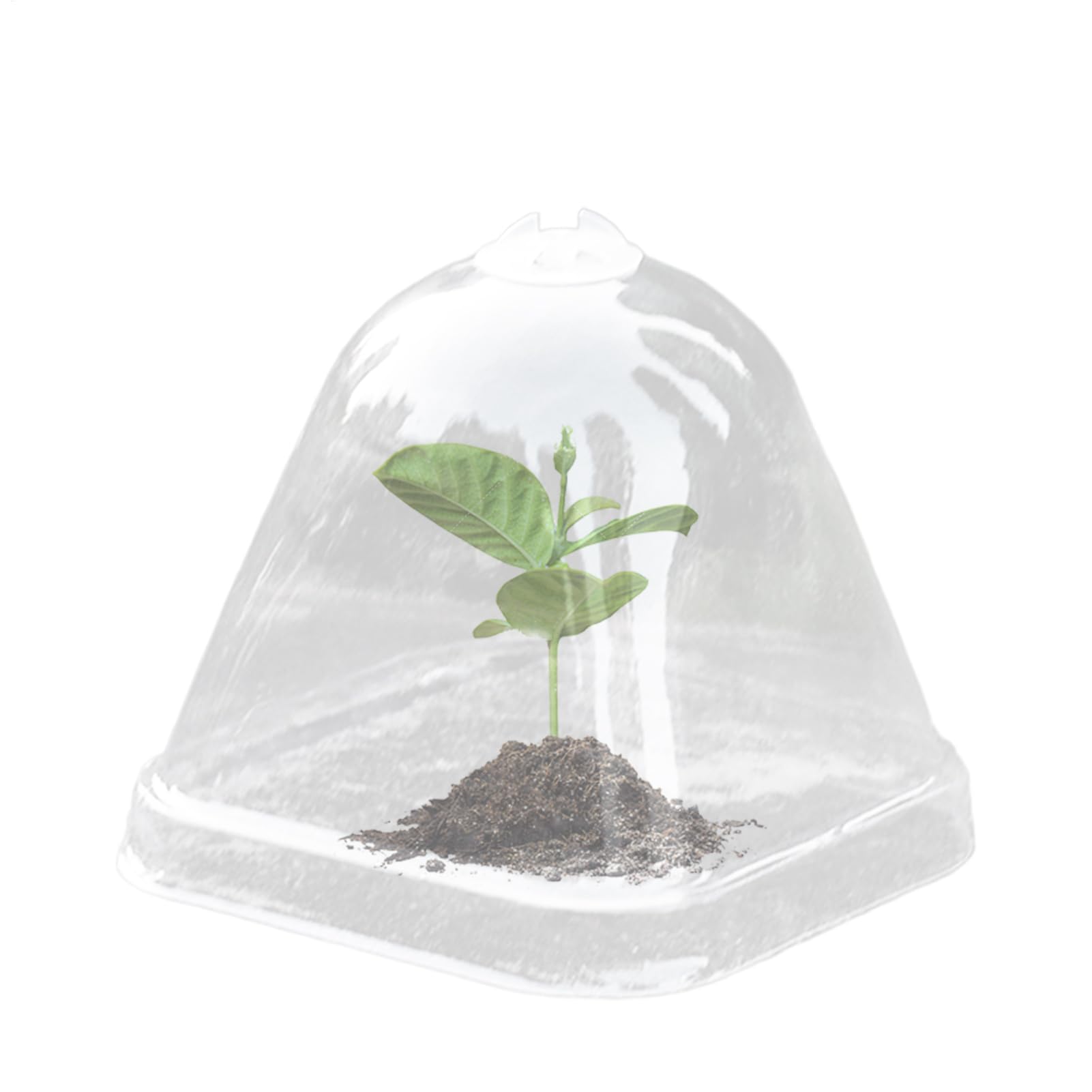 Cúpulas De Humedad para Plantas - Cubierta Protectora Transparente para Plantas - Tapa de Aislamiento Térmico 10X para Macetas de Vivero con Control de Humedad e Impermeable