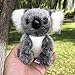 HCYH 2020 Nuevo 16CM recién Llegado súper Lindo pequeño Oso Koala Juguetes de Peluche Aventura Koala muñeca cumpleaños Negro