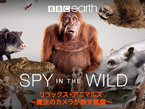 リラックス・アニマルズ リラックス・アニマルズ