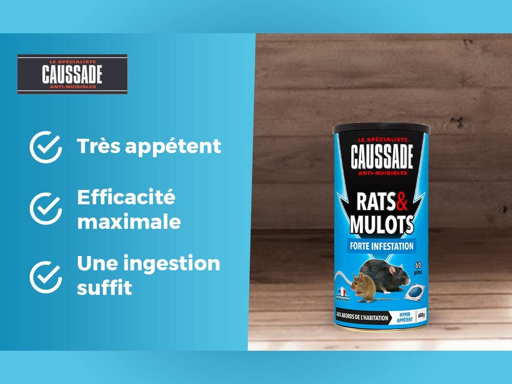 Caussade Anti Rats & Mulots - Efficacité Radicale - Lieux secs & humides - 60 sachets Pâtes - prêt à l'emploi - Une Ingestion Suffit – Fabriqué en France - 600g CARMUPT600