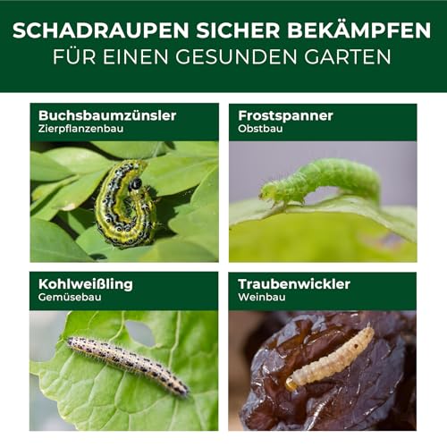 Legona XenTari Buchsbaumzünsler Spritzmittel, 10 x 2 g, bis zu 400 m², Bacillus thuringiensis, Zünslerfrei und Raupenfrei