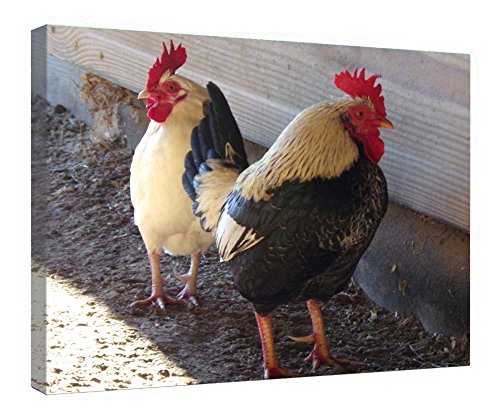 Tableau coq de Bamaï sur toile avec cadre en bois prêt à poser 41x51 cm