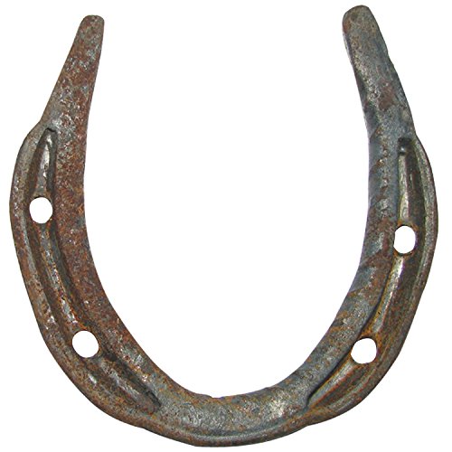 Subculture 　HORSE SHOE GOODLUCK Amazon.com: Good Luck New Unused Horse Shoe - A4468