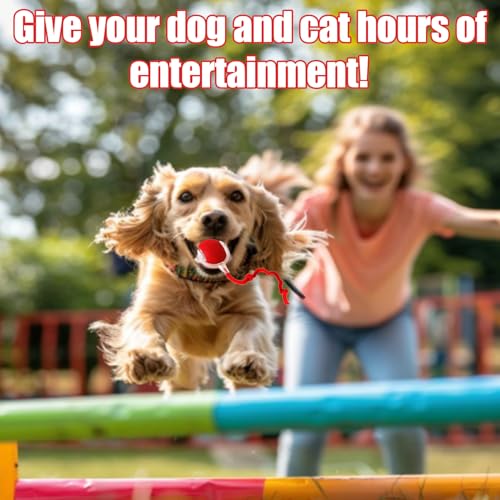 2025 New Interactive Dog Cat Toys Balls,Interactive Rolling Ball Cat Toy, 360° Smart Automatic Rolling Pet Ball, Fast Moving Toy for Dog and Cat(Red) by Generic - Image 3