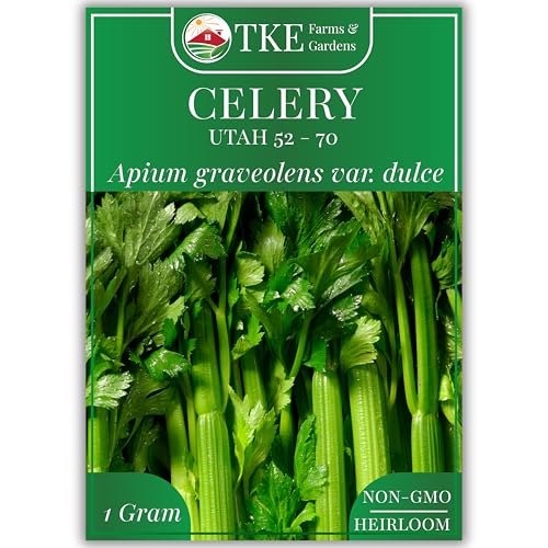 TKE Farms & Gardens - Utah 52-70 Celery Seeds for