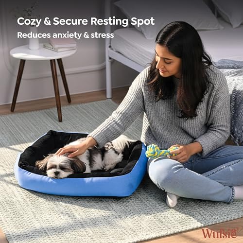 Image of Reversible Rectangle Dog Bed | Small 50 X 65 Cm Pet Bed for Puppies and Cats | Premium Velvet, Washable Fabric | Soft Sofa-Style Bed for Dog with Thick 15 Cm Insert | Black & Sky Blue