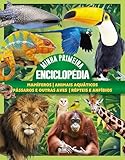  Coleção Minha Primeira Enciclopédia de Animais (Portuguese Edition)