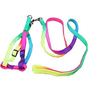 Sage Square Colourful Adjustable Nylon Puppy Leash Harness, Small