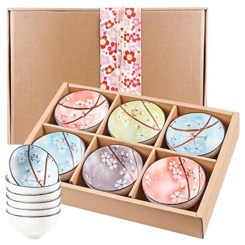 HOMURY Lot de 6 bols à céréales en porcelaine - 300 ml - Petits bols multicolores en céramique japonaise - Pour collation, riz, céréales, dessert, crème...