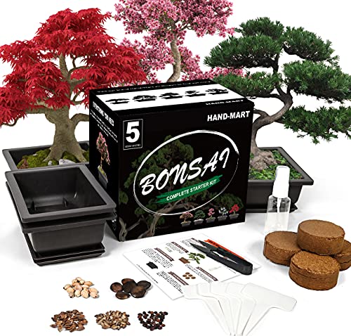 Bonsai Tree Seed Starter Kit - 5 Bonsai Seeds with Complete Growing Kit - Bonsai Pot, Soil, Pruner, Watering, Markers & Guide - Garden Gift for Women&Men