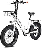 E-Bike Klapprad 20 Zoll | Pedelec 250W Heckmotor | Hydraulische Scheibenbremsen | 13Ah Lithium Akku(624Wh) | StZVO Ausstattung | 4,0 Fette Reifen Full Terrain | mit Vorderem Fahrradkorb