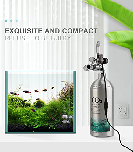 Image of Aquarium CO2 Regulator Dual Gauge with Solenoid Bubble Counter, R100S