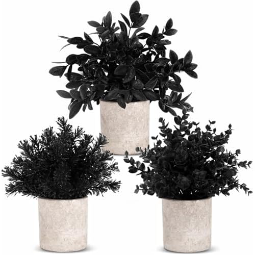 Der Rose 3 Pack Black Mini Potted Fake Plants Decor Artificial Eucalyptus Plants Topiaries for Halloween Black Bathroom Accessories Home Office Desk Farmhouse Room Table Decor