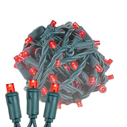 Novelty Lights 50ft 100 LED Red Christmas Lights Outdoor/Indoor, 6