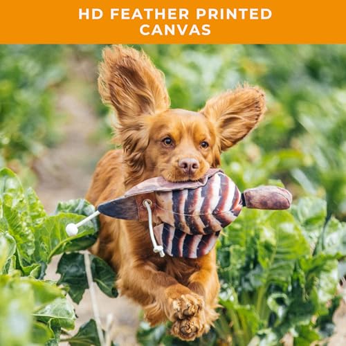 The Original Clone Realistische Spiel Vogel Hund Training Schnuller - Canvas Schnuller mit HD Federdruck für Gundog & Welpentraining - Gundog Trainingsgeräte (Hen Fasan Dead Bird Dummy)