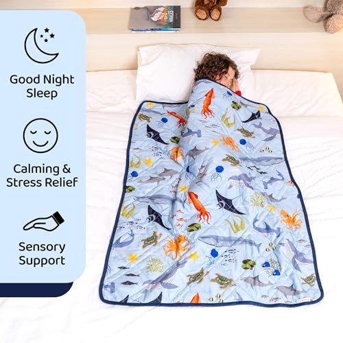 Aricove Cobertor pesado infantil, 2,2 kg, cobertor pequeno para crianças em algodão macio, 91,4 x 12