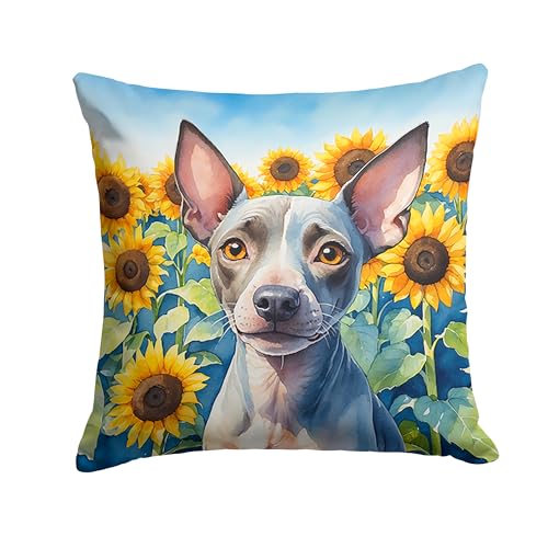 Caroline's Treasures in Sunflowers Throw Pillow, 18Hx18W, American Hairless Terrier 6010
