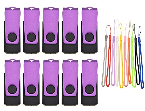 FEBNISCTE 10 pezzi Chiavetta USB 2.0 da 4GB con