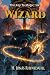 Wizard (The Key to Magic Book 6)