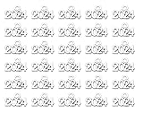 Ruwado 50 Pcs 2024 Charms Silver Year Signet Bulk Antique Number Pendants for Jewelry Making Finding