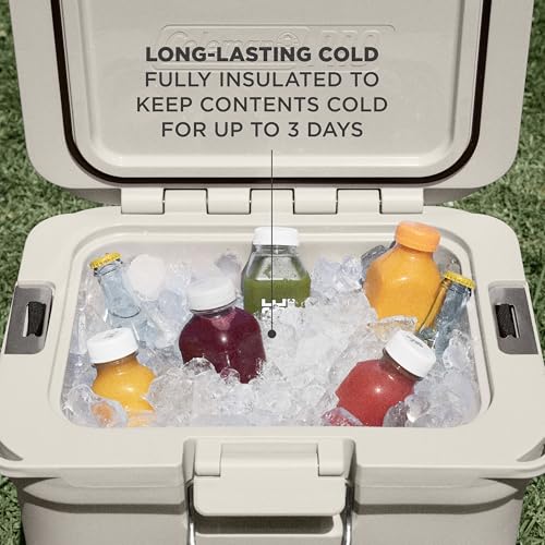 walk in cooler 2026 34