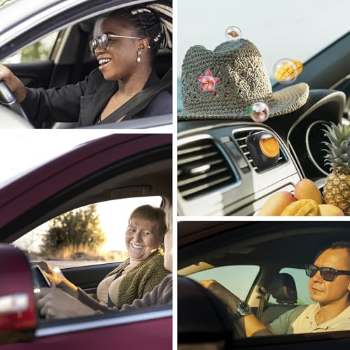Image of Car Air Fresheners, Hawaiian, 6-Pack, 4ml Each, Odor Eliminator