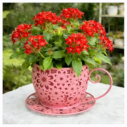 FunFlare Teacup Planter,Cute Flower Planter,Vintage Garden Decorative Iron Plant Pots,Distressed Wrought Iron Planter with Drainage Holes (Pink)