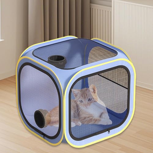 Caja secadora para mascotas que elimina el pelo volando en casa 5