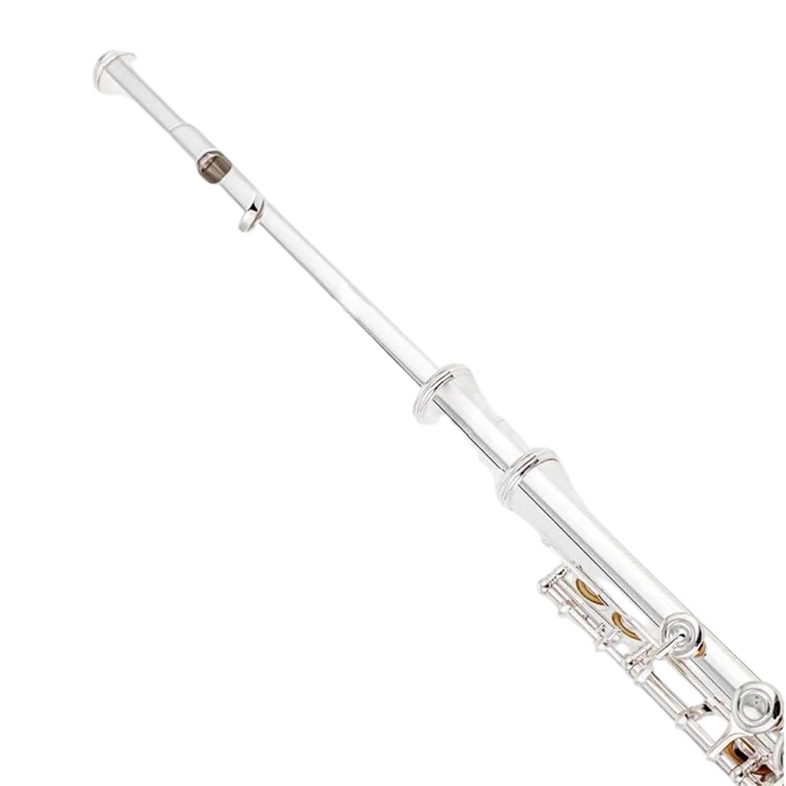 Flute Flauta C profesional
