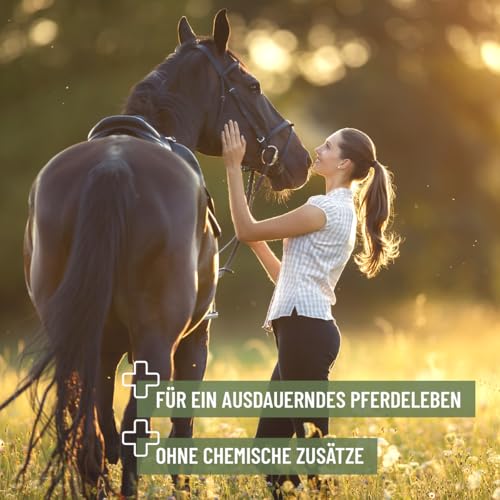 ReaVET Bronchialkräuter Pferd 1kg - Natürliche Kräuter bei Husten & Schnupfen, Atemwegskräuter Pferde als Ergänzungsfutter, Hustenkräuter für freie Atemwege