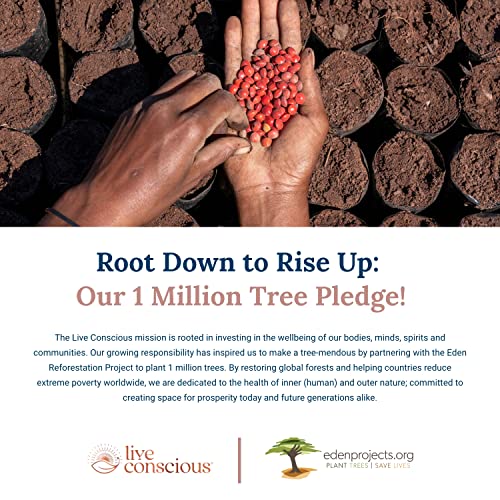 Krillwell Heart, Joint, And Cognitive Support | Certified Sustainable Krill Oil 2X More Effective Than Fish Oil - 30 Day Supply #TOP2