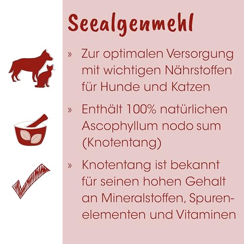 Fit-BARF Seealgenmehl für Hunde & Katzen - Natürliche Jodquelle 500 g