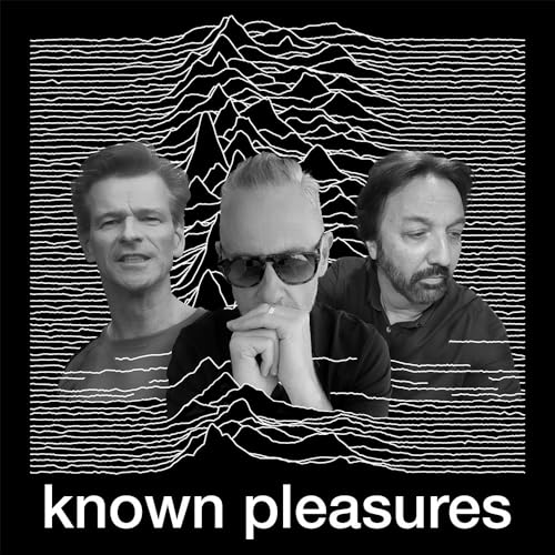 Known Pleasures Flexidisc - Top 20 Albums 1979