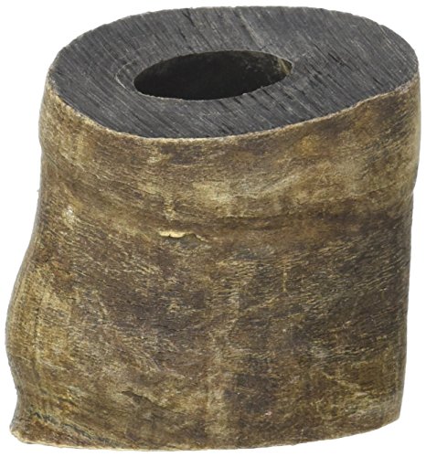 Buba Chew Natural Water Buffalo Horn - Small