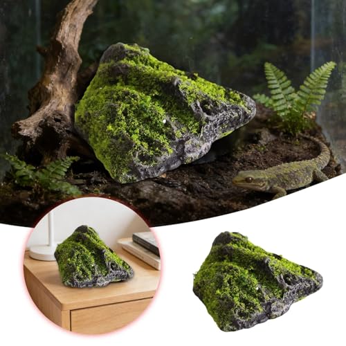 Pierres décoratives de qualité supérieure pour intérieur chic et terrarium