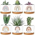 Sieral 6 Pcs Thank You Gift Appreciation Gift Succulent Pots Mini Ceramic Plant Pot with Bamboo Tray Succulent Planter for Coworker Employee Teacher School Counselor, Plants Excluded